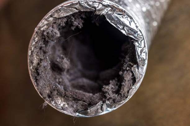 Best HVAC Air Duct Cleaning  in Fremont, CA