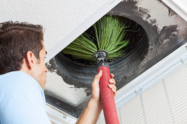 Best Affordable Duct Cleaning Services  in Fremont, CA
